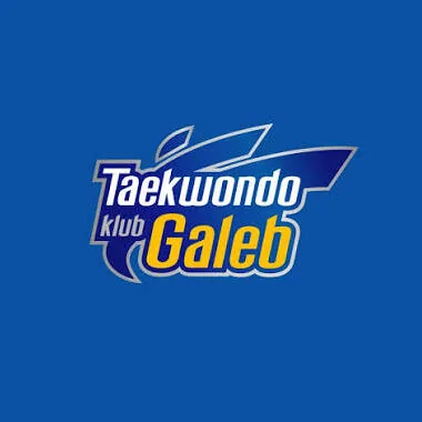 Tekvondo klub Galeb logo